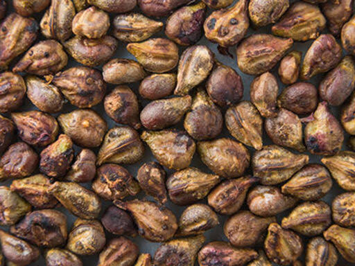 Grape Seed Oil